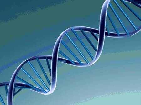 Биологи обнаружили новый тип ДНК