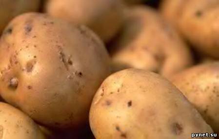 Диетологи ошибались, запрещая худеющим кушать картофель