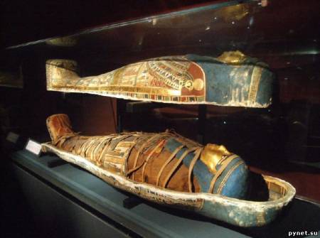 В египетской мумии нашли раковые клетки
