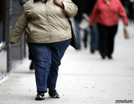 Худеющие толстяки могут спасти американский бюджет 1