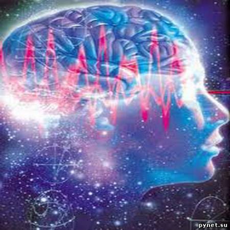 Ученые нашли в мозге человека центр чувства собственного превосходства 1