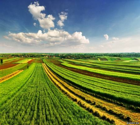 Каждый год площадь сельскохозяйственных земель уменьшается на одну Италию
