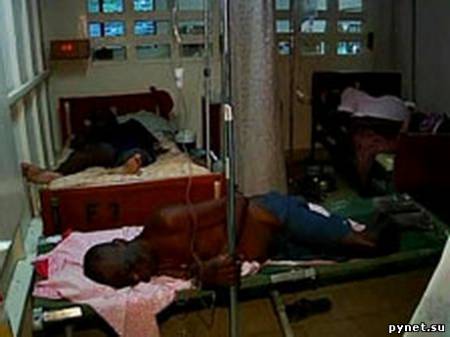 Число жертв эпидемии холеры на Гаити возрастает. Изображение 1