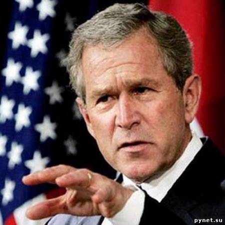 Джордж Буш: восхождение к реабилитации. Изображение 1