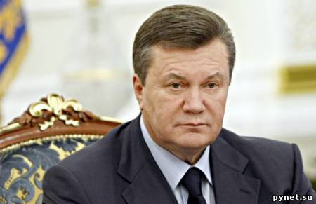 Янукович отказался участвовать в саммите НАТО в Лиссабоне. Изображение 1