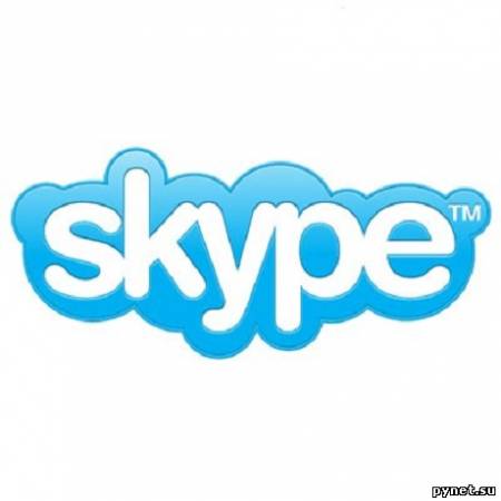 Skype готовит к запуску собственный веб-сервис. Изображение 1