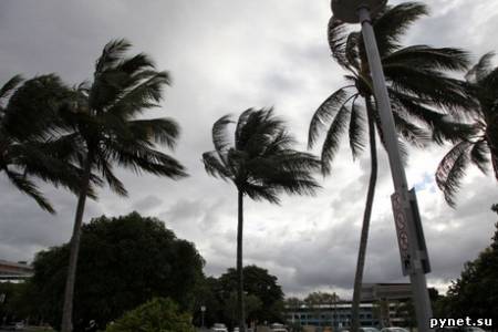 В Австралии циклон "Яси" оставил без электричества около 170 тыс. домов.. Изображение 1