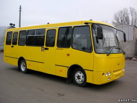 Водитель автобуса нашел на дороге бесхозные 3,5 миллиона рублей. Изображение 1
