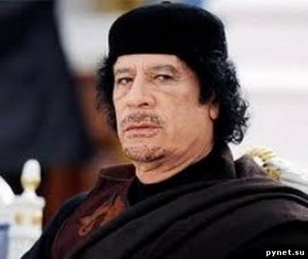 Сын Каддафи: Ливия на грани развала. Изображение 1