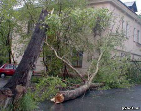 В Краснодарском крае от урагана пострадали школы, детсад и детская больница.