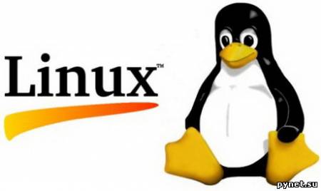 Двадцатилетие Linux отметят в августе. Изображение 1
