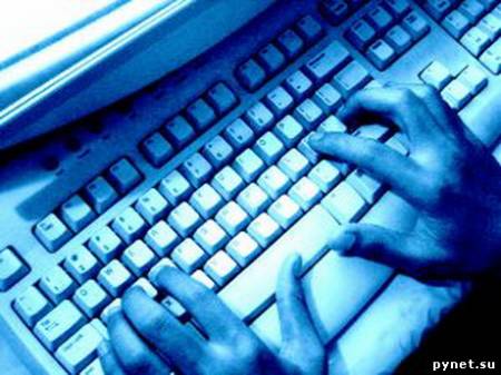 Общественная палата предлагает ужесточить ответственность за кибератаки. Изображение 1