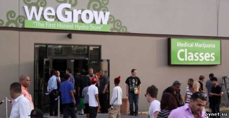 Крупнейшая в Америке компания по продаже марихуаны - WeGrow. Изображение 1