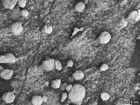 Обнаружена марсианская «голубика». Изображение 1